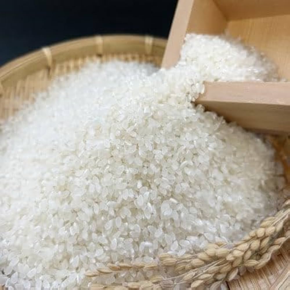 順次収穫　新米コシヒカリ 楽天市場】【ふるさと納税】令和6年産茨城県産コシヒカリ